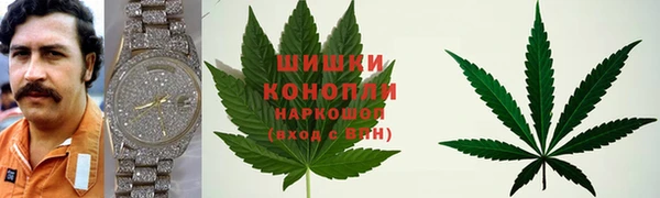 бутират Горнозаводск